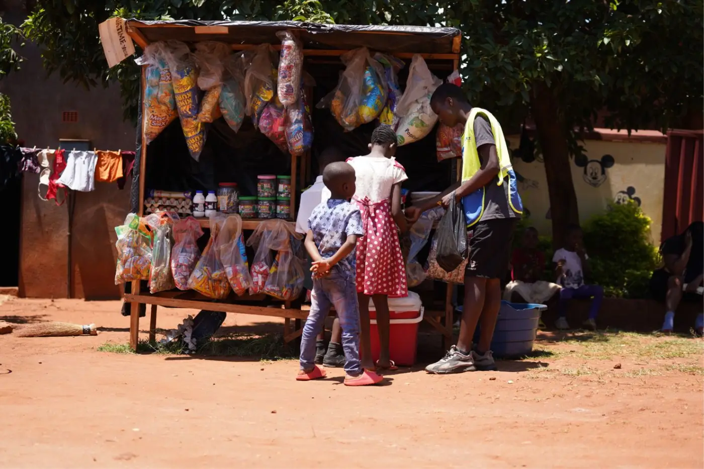 People participating in livelihoods & resilience activities