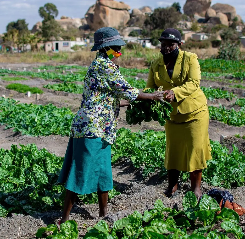Community members participating in a livelihoods activity